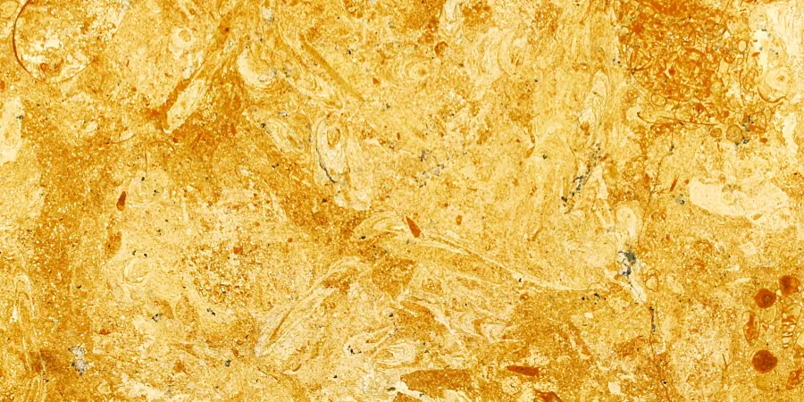 Golden Flower